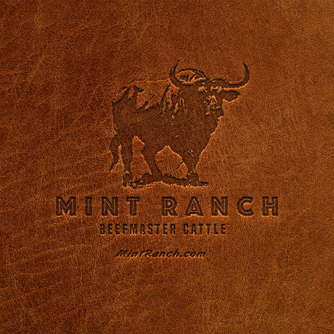 Mint Ranch